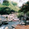 tour-du-lich-quang-binh-1-ngay