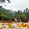 Tour Du Lịch Quảng Bình 1 Ngày – Nên Đi Đâu?