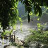 du-lich-quang-binh-vao-mua-dong