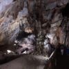 tour-quang-binh-3-ngay-2-dem