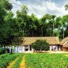tour-mien-trung-4-ngay-3-dem