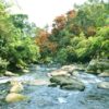 tour-du-lich-quang-binh-nghi-duong-5-sao