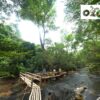 tour-du-lich-phong-nha-2-ngay-1-dem