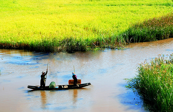 Tìm Hiểu vùng đầm Phá Hạc Hải